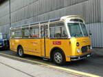 (249'717) - R�ber, Mettmenstetten - ZH 546'297 - FBW/Gangloff (ex P 23'202; ex P 21'002) am 6.