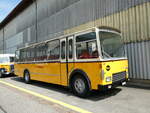 (249'751) - Wittig, N�rensdorf - ZH 205'322 - FBW/FHS (ex Tiemann, Oetwil Nr.