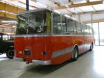 (250'338) - FBW-Club, M�nnedorf - FBW/R&J (ex Tiemann, Oetwil Nr.