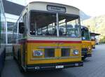 (255'894) - Sch�pfer, Hemmental - SH 6171 - FBW/FHS (ex Ruch, Schaffhausen; ex Niederer, Grub; ex Baumgartner, Horn; ex Bucheli, Kriens Nr.