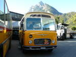 (255'908) - R�ber, Mettmenstetten - ZH 546'297 - FBW/Gangloff (ex P 23'202; ex P 21'002) am 7.