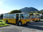 (256'511) - Aus Deutschland: Hahn, M�nchen - M-HH 668H - FBW/FHS (ex Michels, Schmallenberg; ex FRAM Drachten/NL Nr.