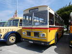 (266'472) - Sch�pfer, Hemmental - SH 6171 - FBW/FHS (ex Ruch, Schaffhausen; ex Niederer, Grub; ex Baumgartner, Horn; ex Bucheli, Kriens Nr.