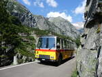 (277'390) - Lambach, Gommiswald - NW 24'301 - FBW/Eggli (ex Tanner+Lambach, Reigoldswil; ex Lambach, Rieden; ex Meier, Gr�t; ex AVG Grindelwald Nr.
