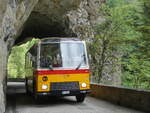 (277'467) - Lambach, Gommiswald - NW 24'301 - FBW/Eggli (ex Tanner+Lambach, Reigoldswil; ex Lambach, Rieden; ex Meier, Gr�t; ex AVG Grindelwald Nr.