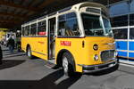 (281'625) - R�ber, Mettmenstetten - ZH 546'297 - FBW/Gangloff (ex P 23'202; ex P 21'002) am 18.