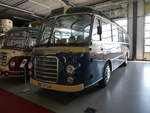 (250'947) - Auw�rter, Pilsting - DGF-BY 56H - Neoplan am 4.