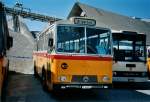 (110'613) - Zimmermann, Niederwangen -  P 24'632  - Saurer/T�scher (ex P 24'632) am 30.