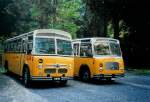 (111'214) - Stebler, Basel - BS 1815 - Saurer/FHS (ex Reber, Basel; ex Eggenberger, M�riken; ex Ott, Wetzikon; ex OPC Ennetb�rgen Nr.