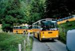 (111'221) - Zimmermann, Niederwangen - BE 985 U - Saurer/T�scher (ex P 24'289) am 27.