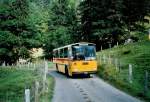 (111'222) - Schmid, Th�rishaus - BE 26'206 - Saurer/T�scher (ex P 24'244) am 27.