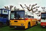 (125'717) - Br�ndli, Z�rich - ZH 180'231 - Saurer/R&J (ex Hofmann, Z�rich; ex Pacciarelli, Grono; ex P 25'661) am 1.
