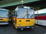 (141'967) - W�thrich, Ursenbach - Nr.