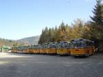 (142'039) - Schmid, Th�rishaus - BE 26'206 - Saurer/T�scher (ex P 24'244) am 21.