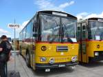 (154'571) - F�ssler, Unteriberg - Nr.