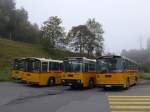 (155'615) - Schumacher, Liebefeld - BE 136'580 - Saurer/T�scher (ex Zimmermann, Niederwangen; ex P 24'289) am 12.