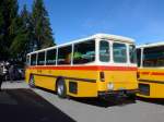 (155'640) - Schumacher, Liebefeld - BE 136'580 - Saurer/T�scher (ex Zimmermann, Niederwangen; ex P 24'289) am 12.