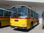 (163'911) - Amstein, Willisau - LU 10'290 - Saurer/T�scher (ex Allemann, Niederbipp; ex Semadeni, Poschiavo; ex Kasper, Poschiavo; ex PostAuto Graub�nden; ex P 24'285) am 29.