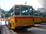 (164'141) - Schumacher, Liebefeld - BE 136'580 - Saurer/T�scher (ex Zimmermann, Niederwangen; ex P 24'289) am 29.