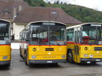(175'317) - W�thrich, Ursenbach - Nr.