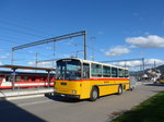 (175'397) - Schmid, Th�rishaus - BE 26'206 - Saurer/T�scher (ex P 24'244) am 2.