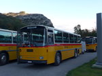(175'409) - Schmid, Th�rishaus - BE 26'206 - Saurer/T�scher (ex P 24'244) am 2.