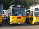 (197'979) - Marugg, Gelterkinden - BL 206'056 - Saurer/Hess (ex D�rfelt, D-Gahlenz; ex P 24'254) am 30.