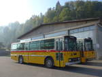 (197'993) - Oldtimer Club Saurer, Arbon - TG 95'083 - Saurer/T�scher (ex Schwizer, Goldach Nr.