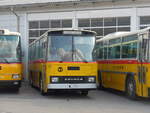(198'028) - Oldtimer Club Saurer, Arbon - TG 95'083 - Saurer/T�scher (ex Schwizer, Goldach Nr.