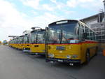 (198'041) - F�ssler, Unteriberg - Nr.