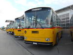 (198'046) - Inkamp, Altendorf - SZ 200'069 - Saurer/T�scher (ex Koch, Giswil; ex Selfors, Meiringen; ex P 24'236) am 30.