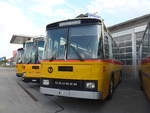 (198'049) - Oldtimer Club Saurer, Arbon - TG 95'083 - Saurer/T�scher (ex Schwizer, Goldach Nr.