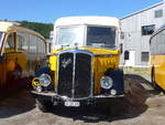 (205'808) - Baumgartner, Horn - SG 329'300 - Saurer/T�scher (ex Bucheli, Kriens Nr.