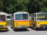 (220'094) - Gast, Wimmis - Saurer/T�scher (ex HPTrans, Thusis; ex Mauerhofer, Worb; ex Erni, Schupfart Nr.