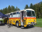 (227'487) - G�hwiler, Birmensdorf - ZH 311'480 - Saurer/T�scher (ex AVG Grindelwald Nr.
