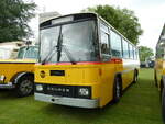 (235'790) - Oldtimer Club Saurer, Arbon - Saurer/T�scher (ex Schwizer, Goldach Nr.