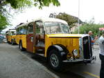 (235'978) - Baumgartner, Horn - SG 329'300 - Saurer/T�scher (ex Bucheli, Kriens Nr.