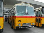 (239'576) - Gast, Reutigen - BE 113'160 - Saurer/T�scher (ex HPTrans, Thusis; ex Mauerhofer, Worb; ex Erni, Schupfart Nr.
