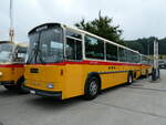 (239'616) - Schmid, Th�rishaus -  P 24'244  - Saurer/T�scher (ex P 24'244) am 27.