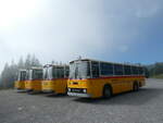 (239'793) - Roth, Z�rich - SH 36'376 - Saurer/T�scher (ex Looser, Elm; ex Mattli, Wassen) am 28.