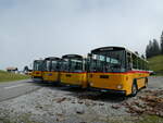 (239'825) - Schmid, Th�rishaus - BE 26'206 - Saurer/T�scher (ex P 24'244) am 28.
