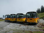 (239'826) - Schmid, Th�rishaus - BE 26'206 - Saurer/T�scher (ex P 24'244) am 28.