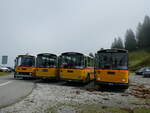 (239'831) - Schmid, Th�rishaus - BE 26'206 - Saurer/T�scher (ex P 24'244) am 28.