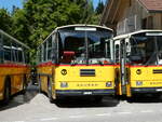 (239'865) - Ackermann, Landquart - GR 106'362 - Saurer/R&J (ex F�ssler, Unteriberg; ex Sch�rch, Gutenburg Nr.