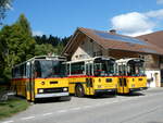 (239'877) - Roth, Z�rich - SH 36'376 - Saurer/T�scher (ex Looser, Elm; ex Mattli, Wassen) am 28.