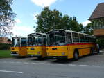 (239'885) - Schmid, Th�rishaus - BE 26'206 - Saurer/T�scher (ex P 24'244) am 28.