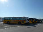 (255'026) - Eichenberger, B�singen - Saurer/R&J (ex Schlapp, Cottens; ex Ruklic, Schaffhausen; ex Heim, Flums PID 2717; ex Frigg, Zernez; ex 24'279) am 9.