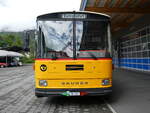 (263'874) - Bachmann, Nieder�nz - Nr.