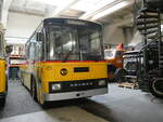 (264'047) - Oldtimer Club Saurer, Arbon - Saurer/T�scher (ex Schwizer, Goldach Nr.