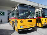 (266'336) - Schumacher, Liebefeld - BE 136'580 - Saurer/T�scher (ex Zimmermann, Niederwangen; ex P 24'289) am 31.